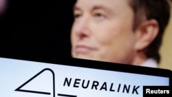 Biểu tượng của Neuralink và ảnh của tỷ phú Elon Musk.