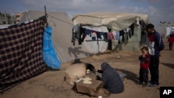 رفح میں غزہ سے بے گھر ہونے والے فلسطینیوں کے عارضی خیمے۔ 23 جنوری 2024