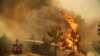 ترکی میں آتش زدگی: جنگلات میں آگ لگتی کیوں ہے؟ 